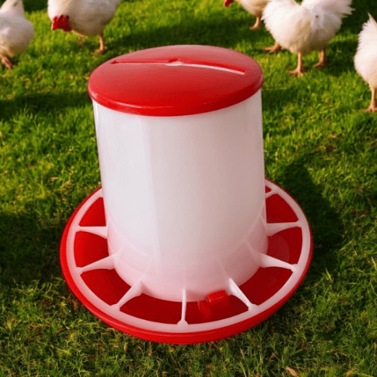 Large Poultry Feeder